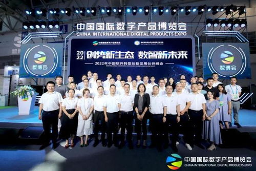 福建省信息技術咨詢服務行業協會會長陳維芳向全國人民拜新年